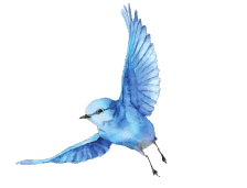 BlueBird